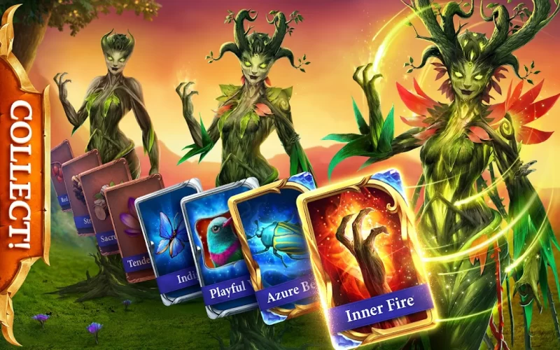 phímex việt nam - gai việt show hàng